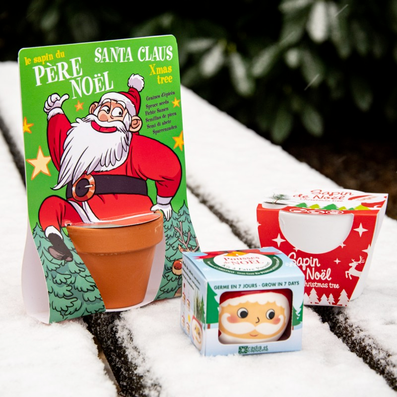 Kit de plantat cu Pin - Mos Craciun