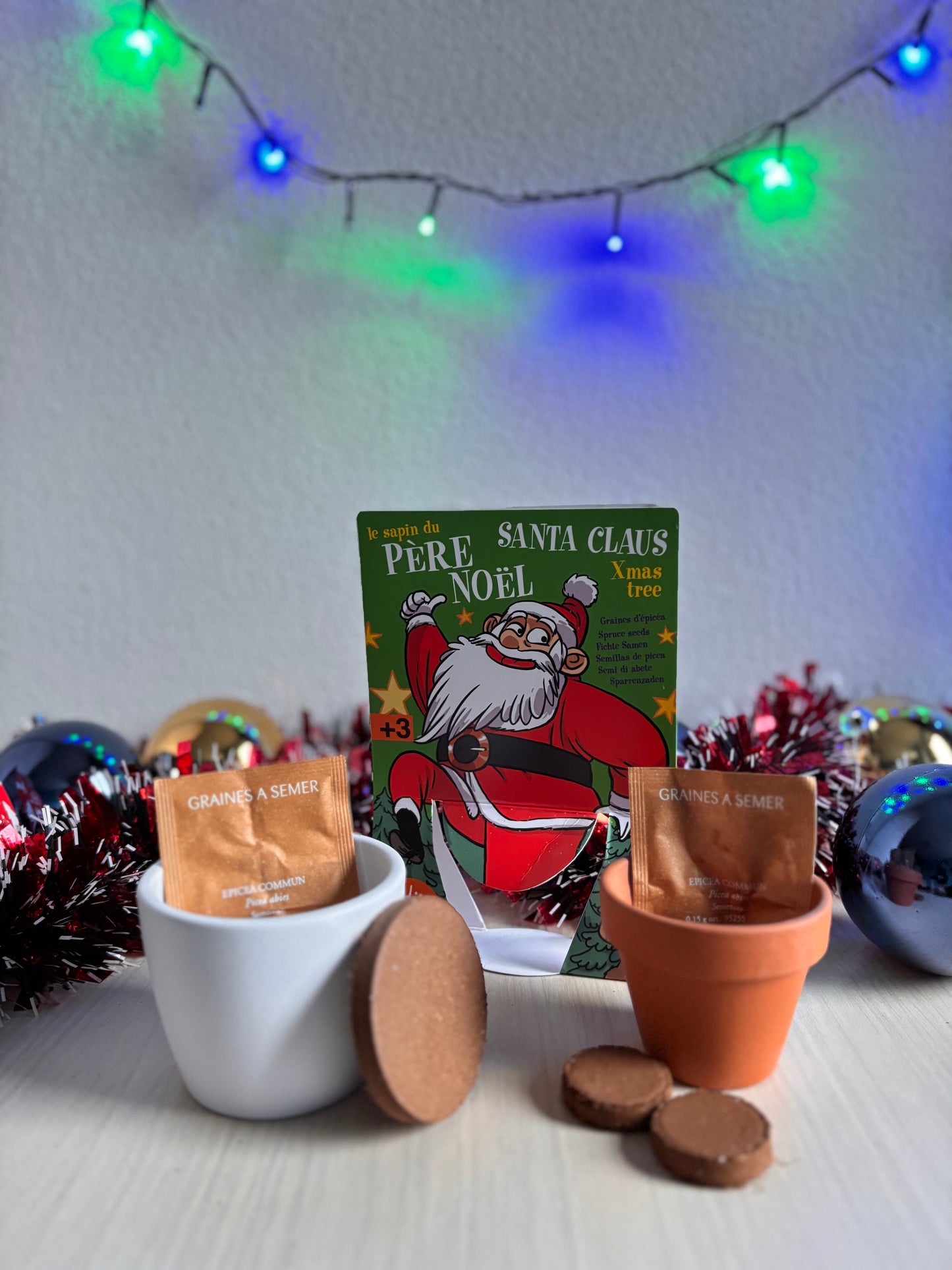 Kit de plantat cu Pin - Editie de Craciun