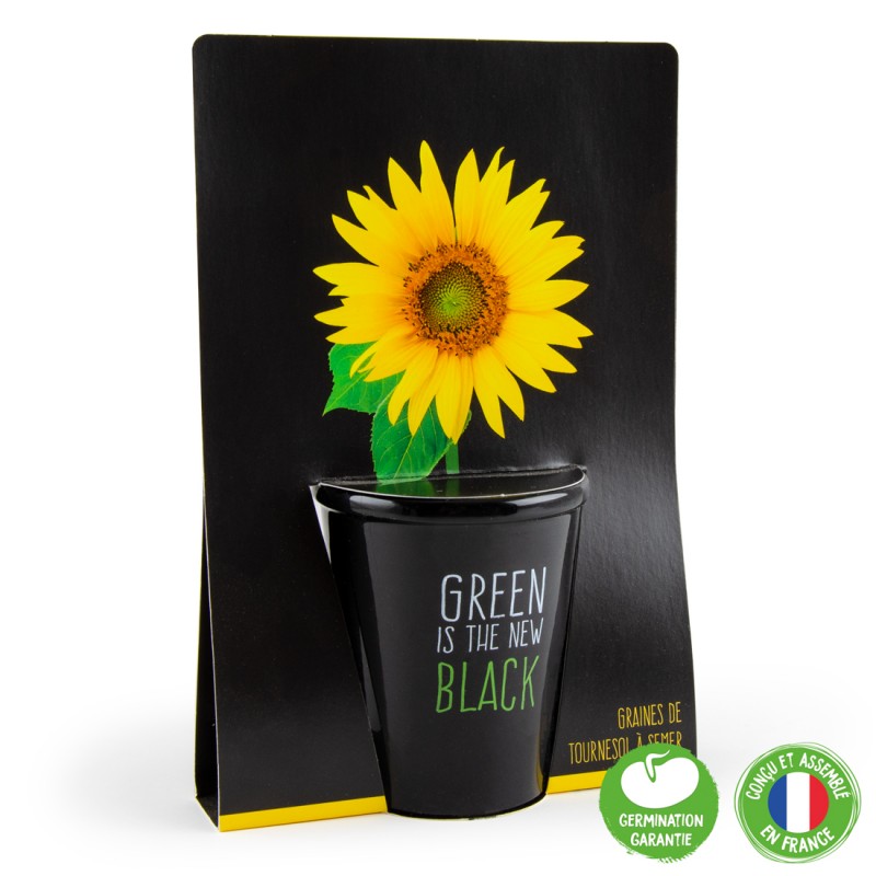 Ambalajul kitului de plantare cu Floarea-Soarelui. O plansa de carton neagra cu imaginea florii si un ghiveci negru.