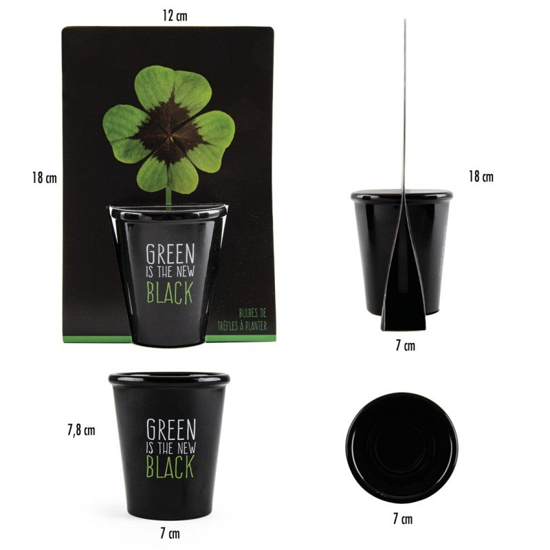 Diferite perspective ale kitului de plantare cu trifoi verde cu 4 foi: frontal, lateral si vazut de sus. Langa imagini sunt trecute si dimensiunile ambalajului si ale ghiveciului negru.
