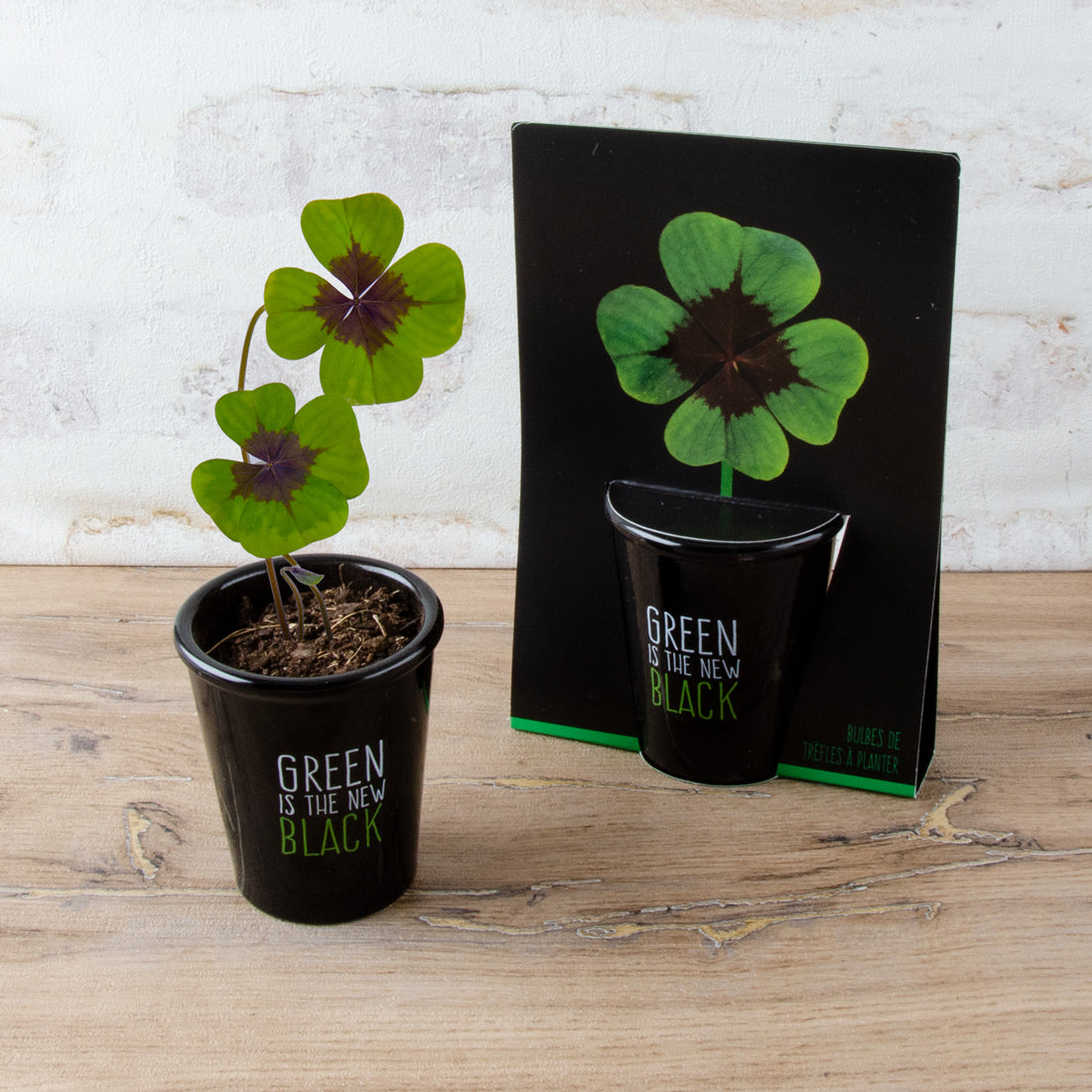 Trifoi cu 4 foi crescut intr-un ghiveci mic, negru, pe care se regaseste inscriptia "Green is the new black". In dreapta ghiveciului este ambalajul acestuia, cu o poza cu cele 4 frunze ale trifoiului. Pe fundal este un perete.