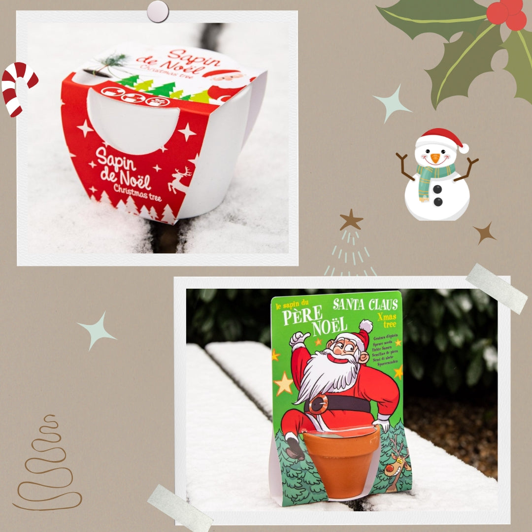 Pachet cadou 2 kituri de plantare de Craciun