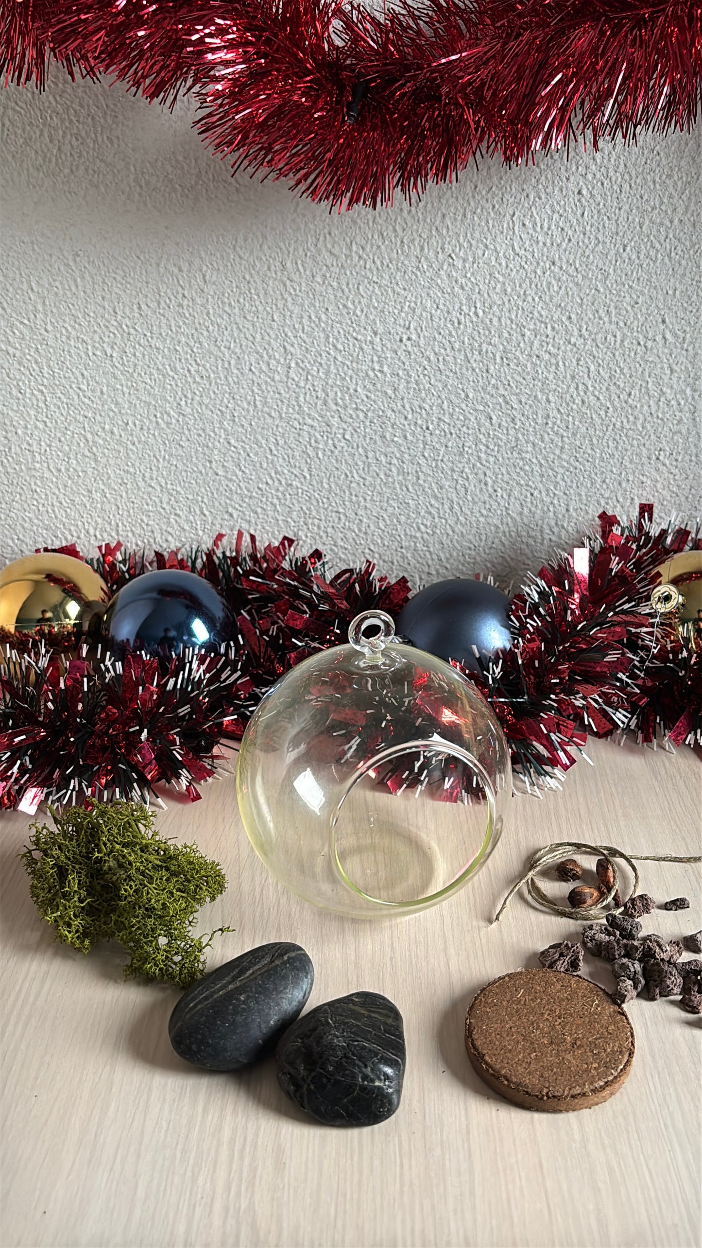 Kit de plantare Trifoi Verde si Mov in bol terariu