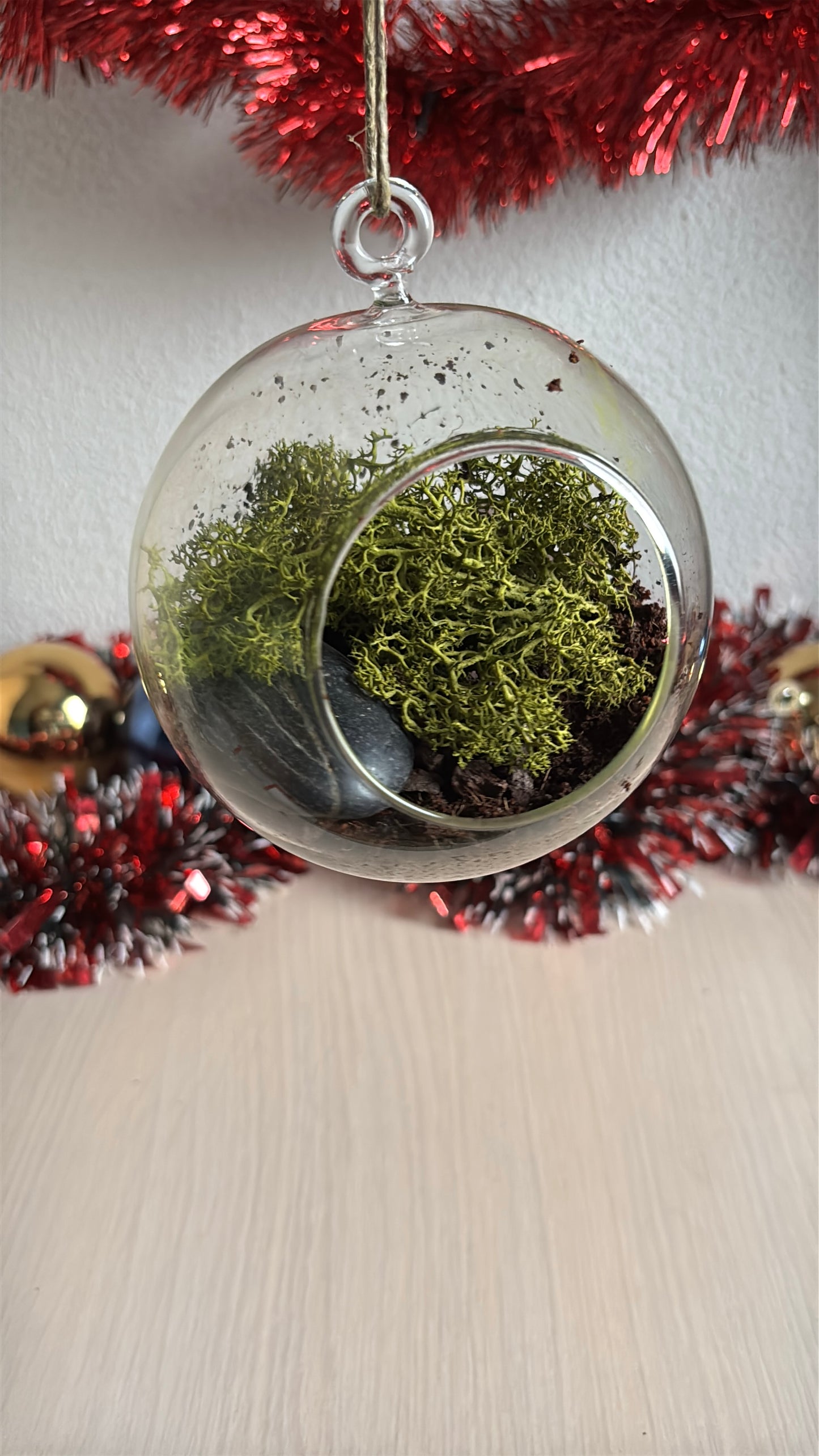 Kit de plantare Trifoi Verde si Mov in bol terariu