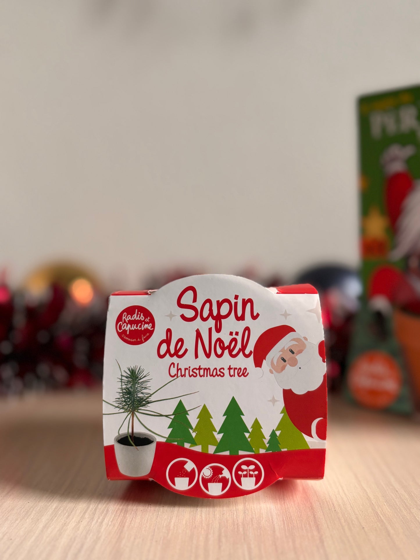 Kit de plantat cu Pin - Editie de Craciun