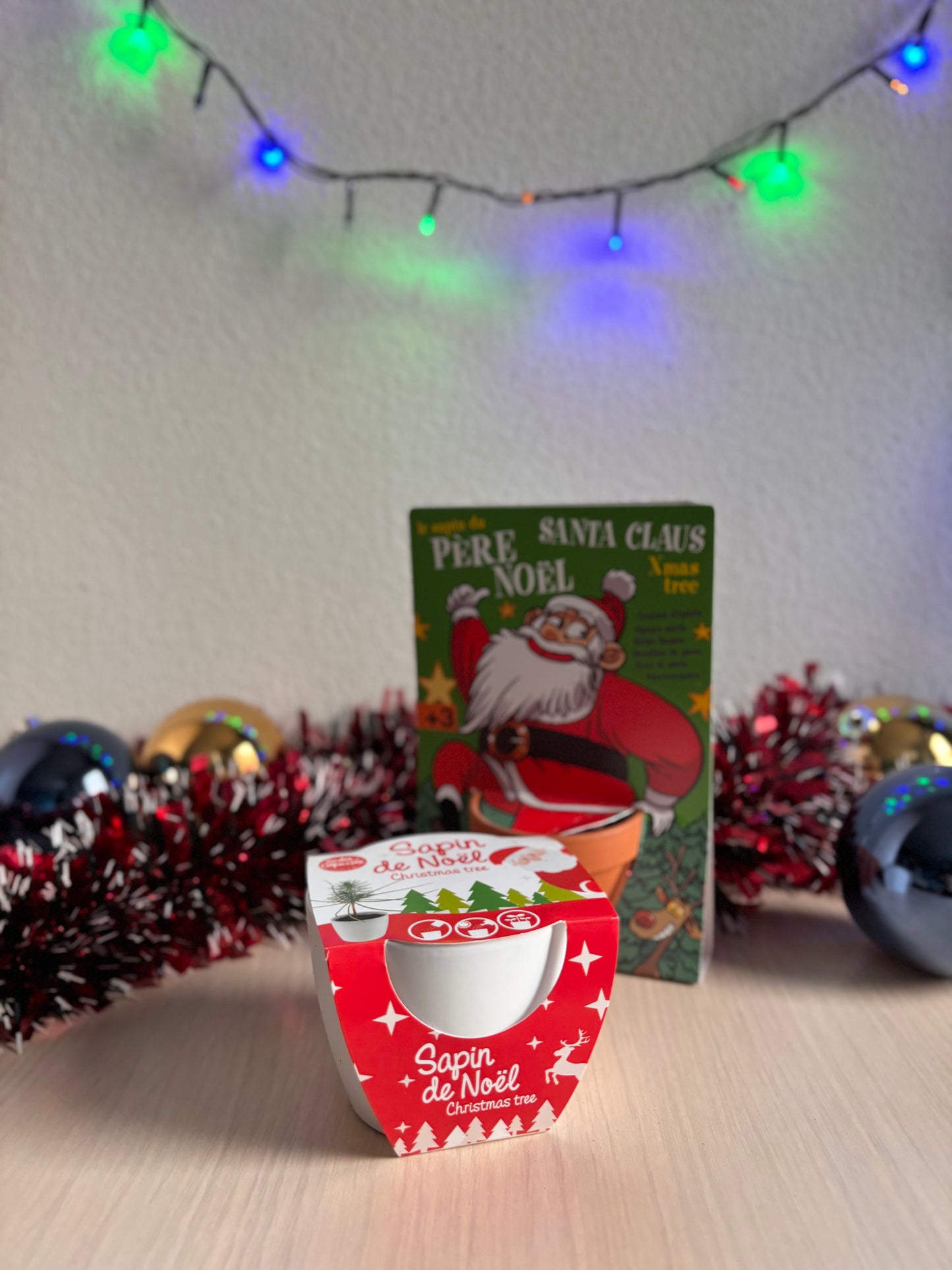 Kit de plantat cu Pin - Editie de Craciun