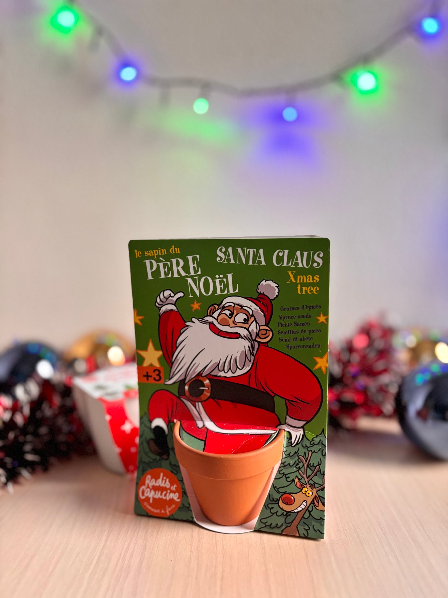 Kit de plantat cu Pin - Mos Craciun