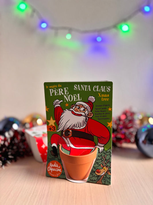 Kit de plantat cu Pin - Mos Craciun