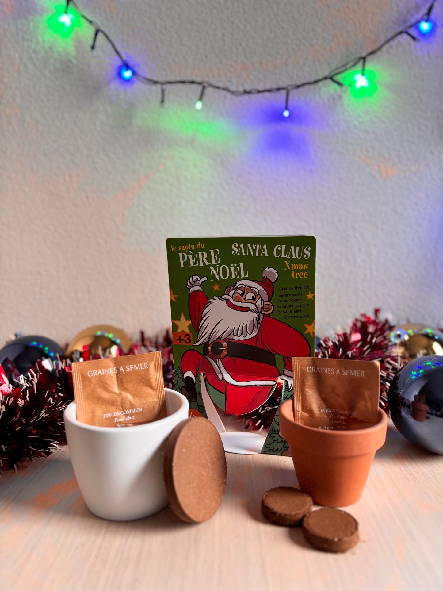 Kit de plantat cu Pin - Mos Craciun