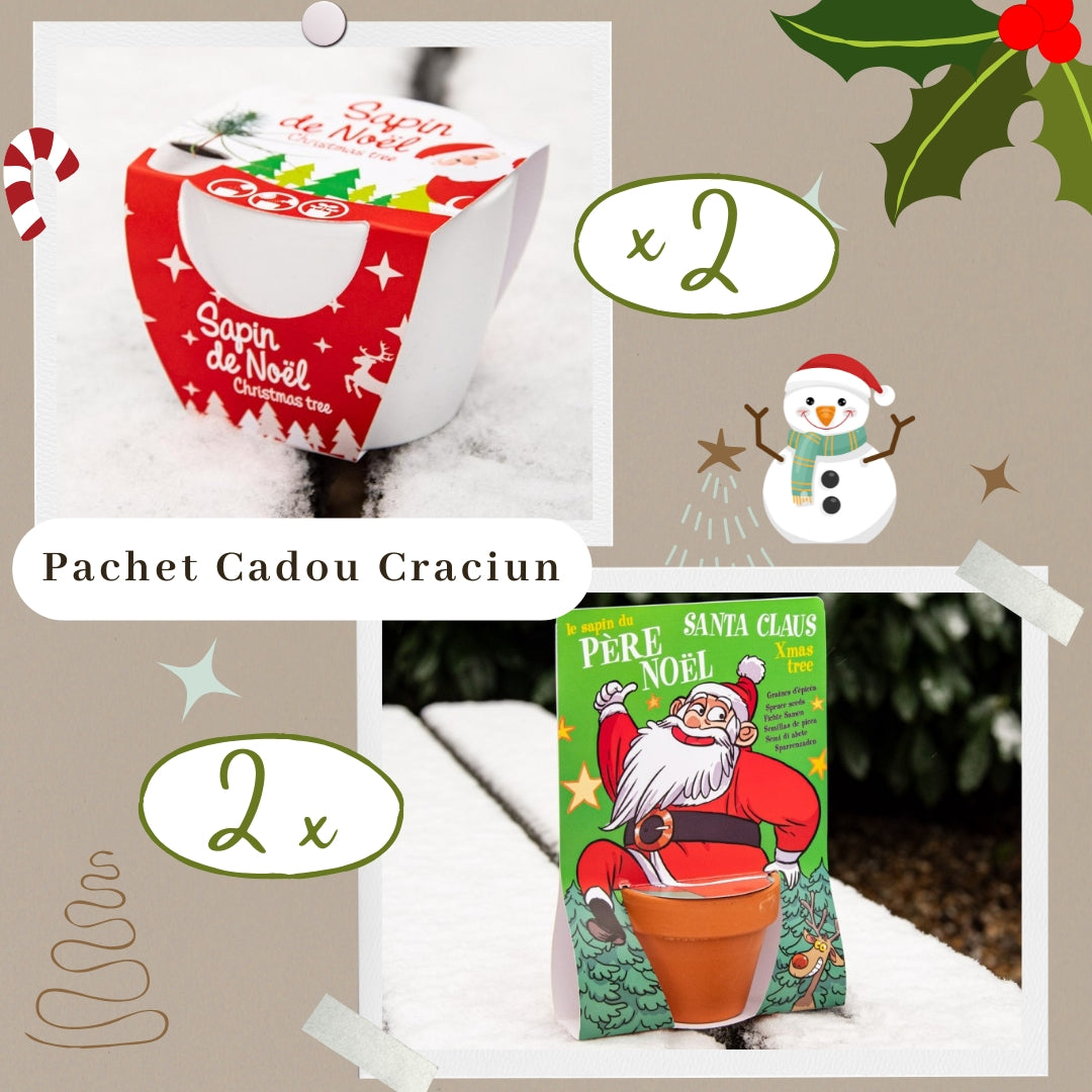 Pachet cadou 4 kituri de Craciun