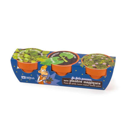 Kit cu 3 ghivece - Plante magice (Mimoza, Vrej de fasole, Bubbling Plant) – ambalajul kitului