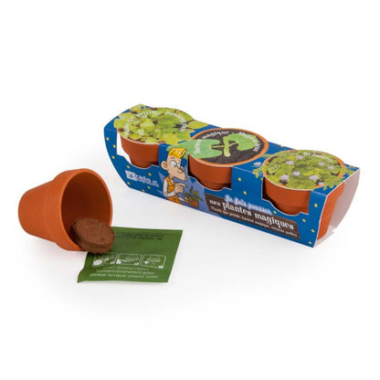 Kit cu 3 ghivece - Plante magice (Mimoza, Vrej de fasole, Bubbling Plant) – ghiveciul și plicul cu semințe