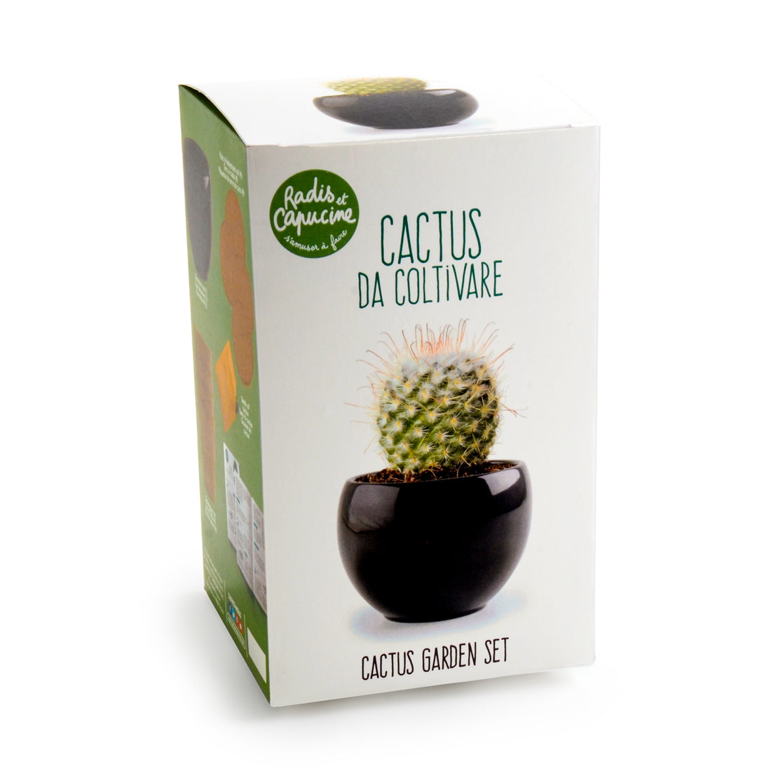 Kit de plantare Cactus