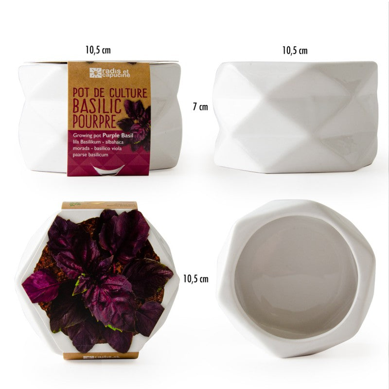 Kit de plantare Pot origami - Busuioc mov