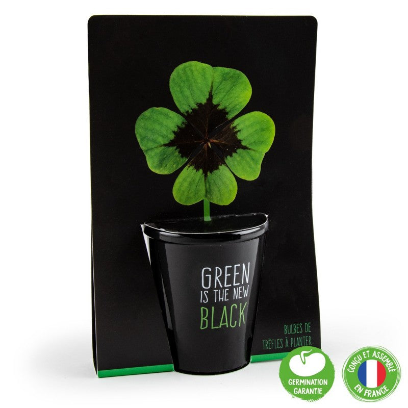 Un kit de plantare cu trifoi verde, expus cu ambalajul de carton negru si poza plantei. In mijlocul ambalajului este imaginea unui trifoi verde cu 4 foi. 