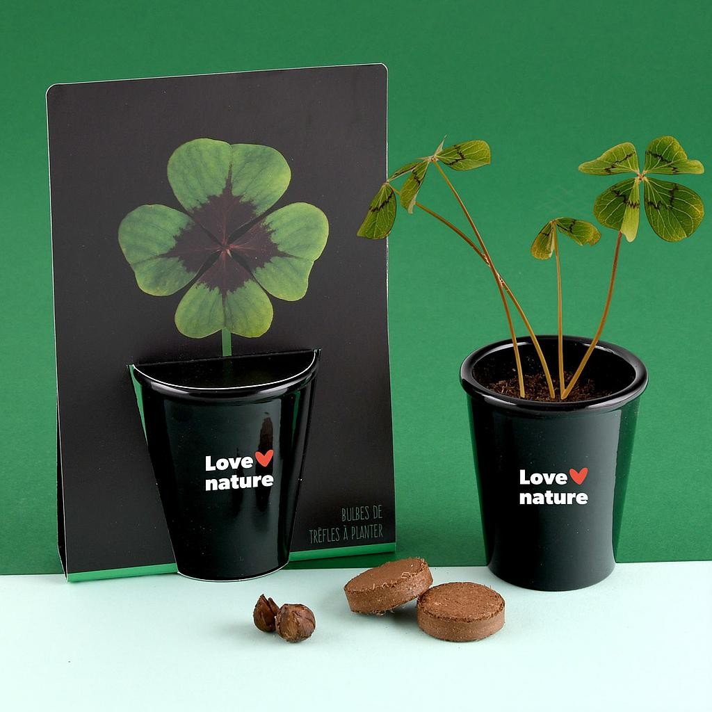 Kit de plantare Trifoi cu 4 foi