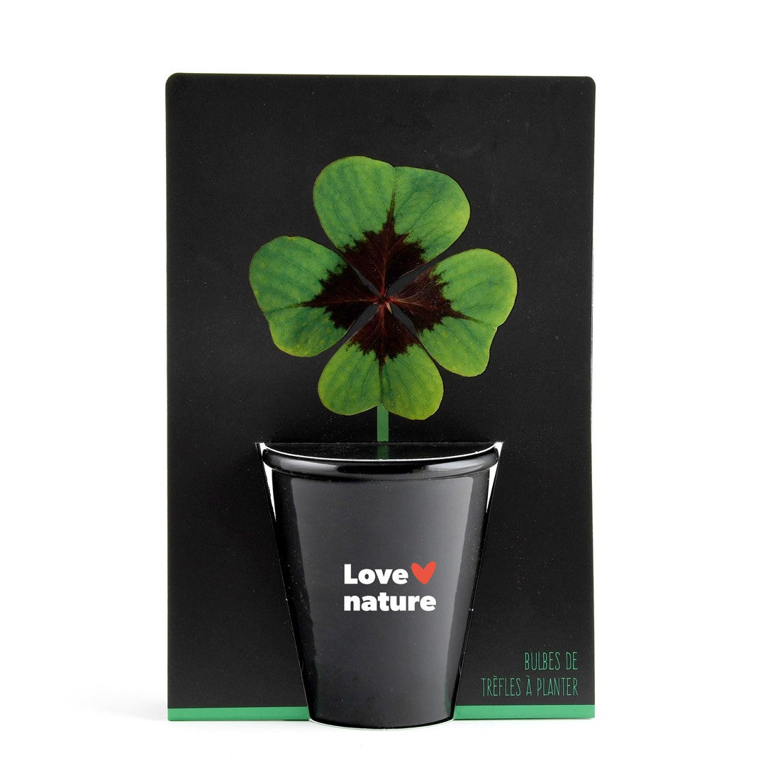 Kit de plantare Trifoi cu 4 foi