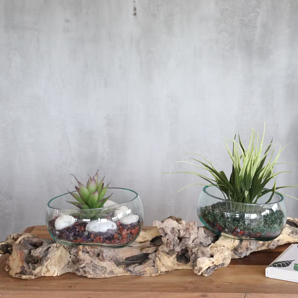 Suport de lemn cu două boluri din sticlă topită – amenajat cu plante, în decor interior